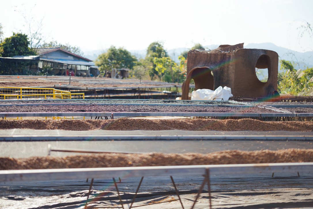 晾晒场上的彩虹