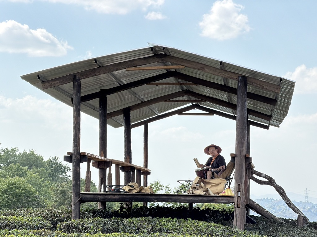 半途而废跑去敲手鼓的毛