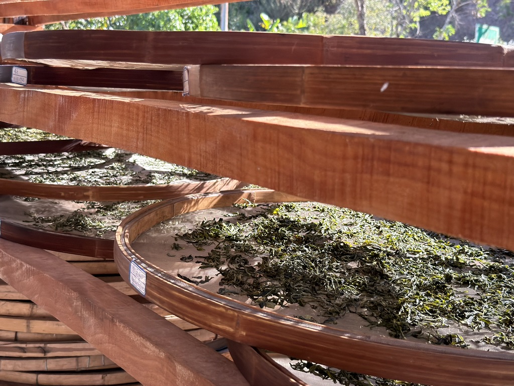 这里就有我们做的茶