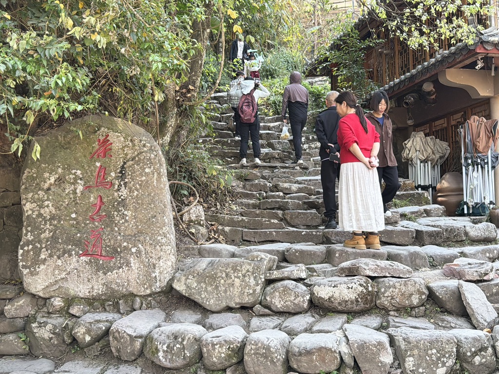 茶马古道遗址,在普洱没付费,在那柯里遇到了