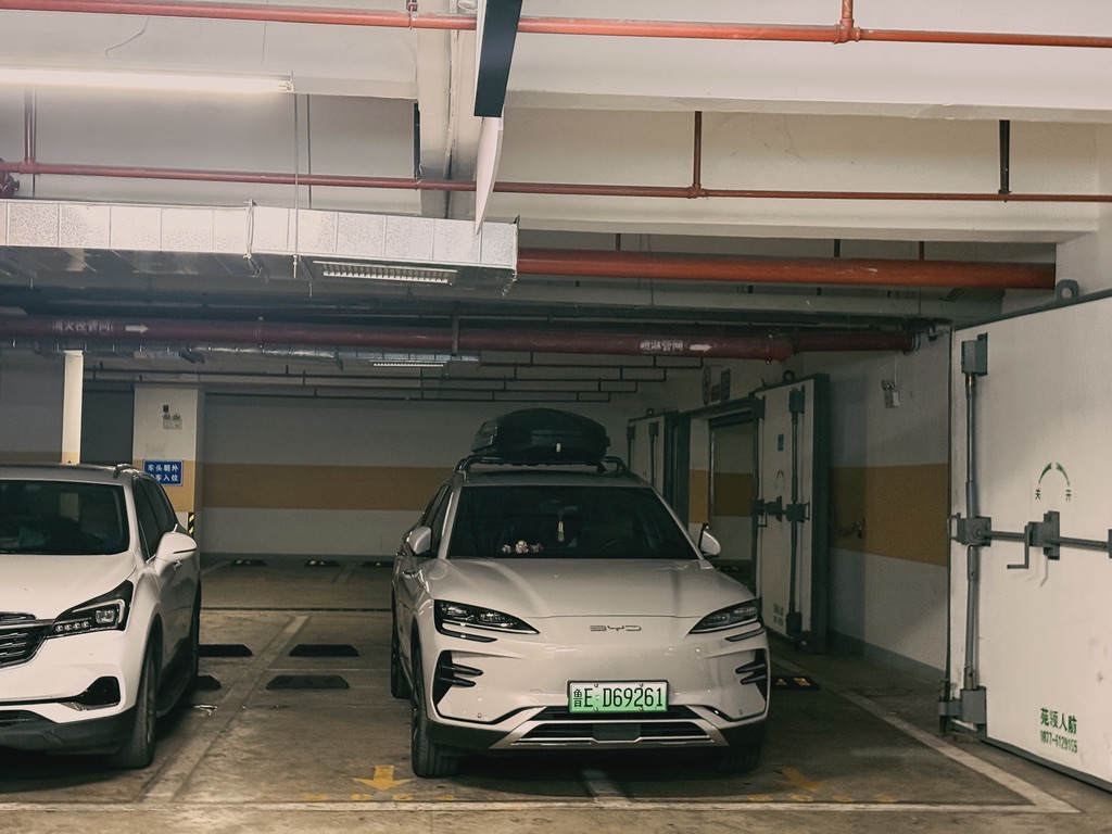 东营来的高质量人类