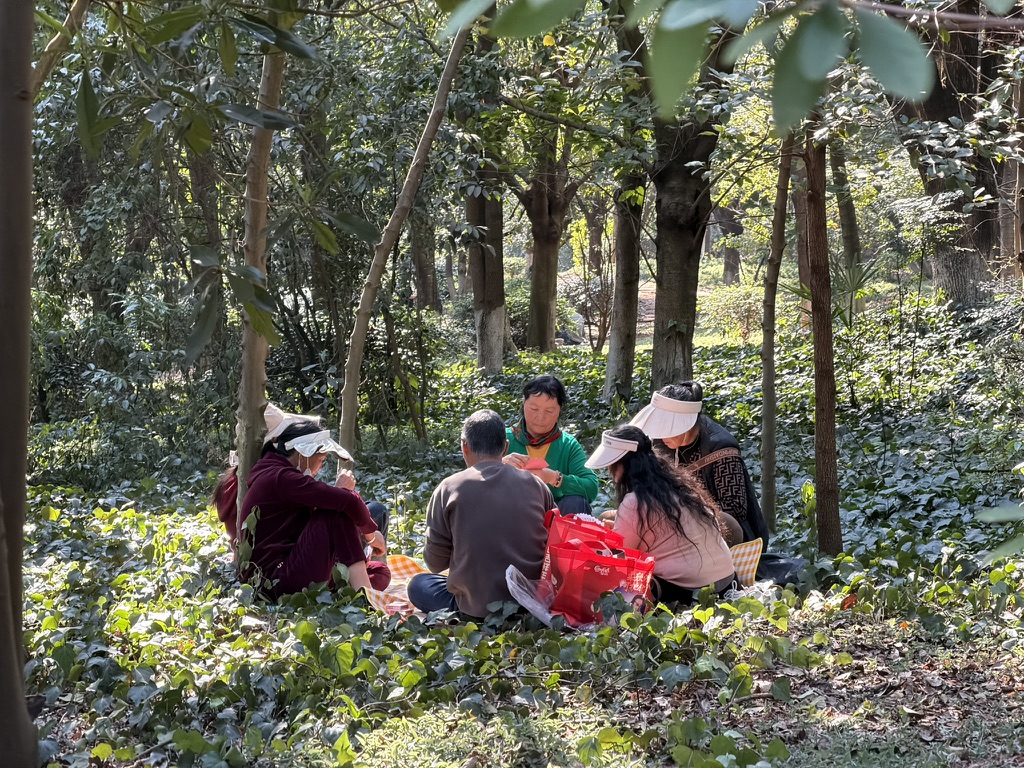 林子里打牌的人们