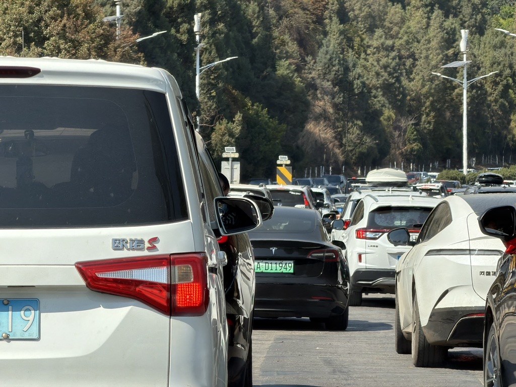 抚仙湖边的车流