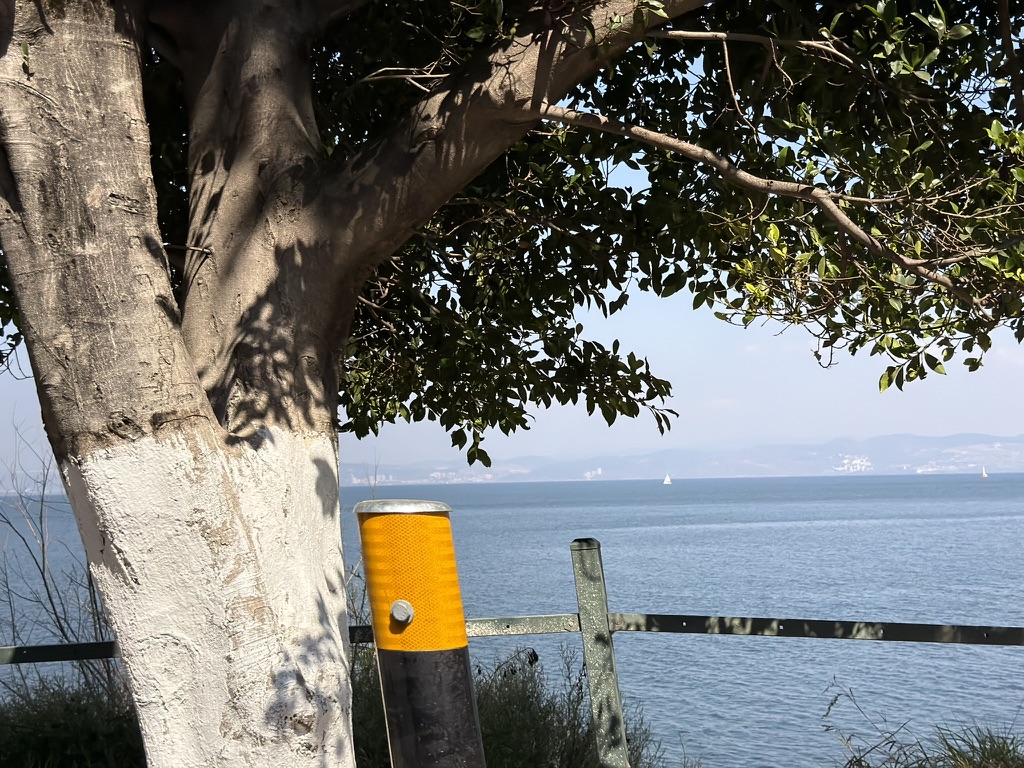 抚仙湖上的帆船