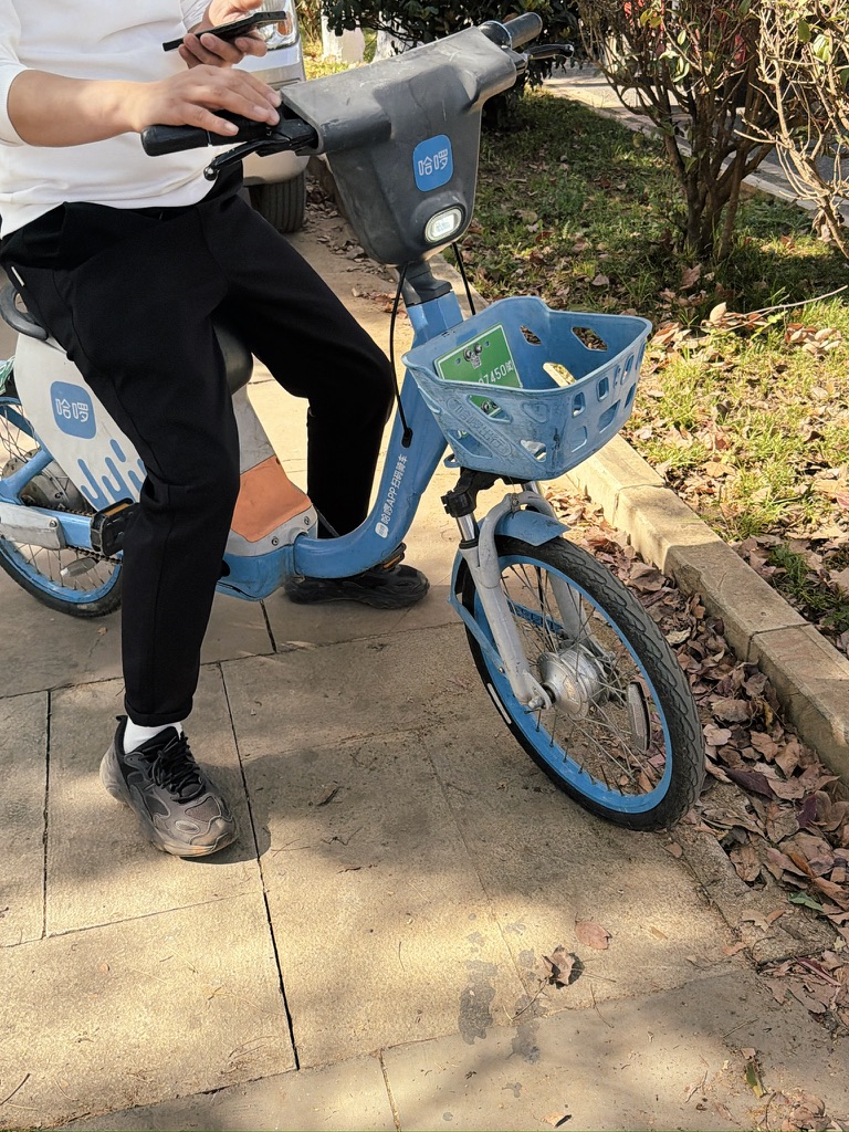 这种形态还是自行车形态的，狗都不骑，只有危险没有便利