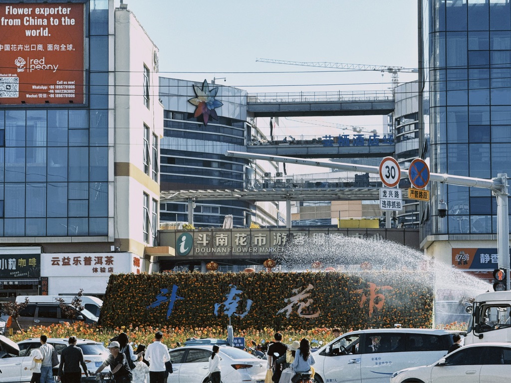 来到斗南花市大门