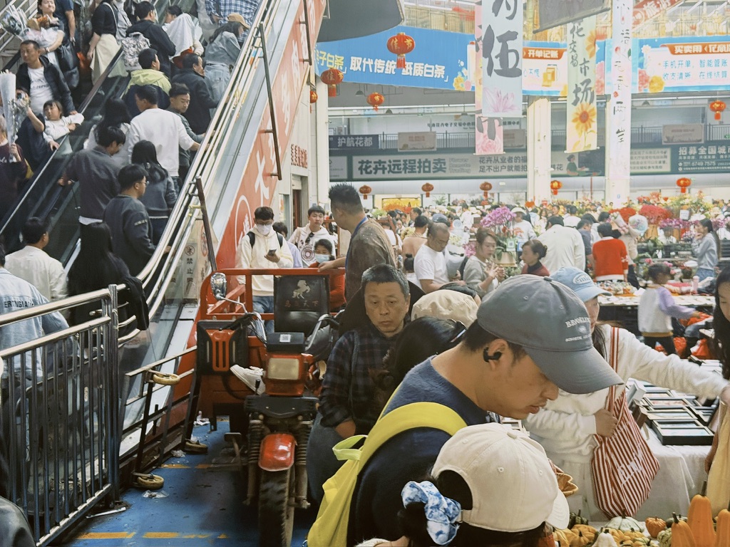 不过这些三轮司机站在三轮上操作倒车的样子真帅啊。