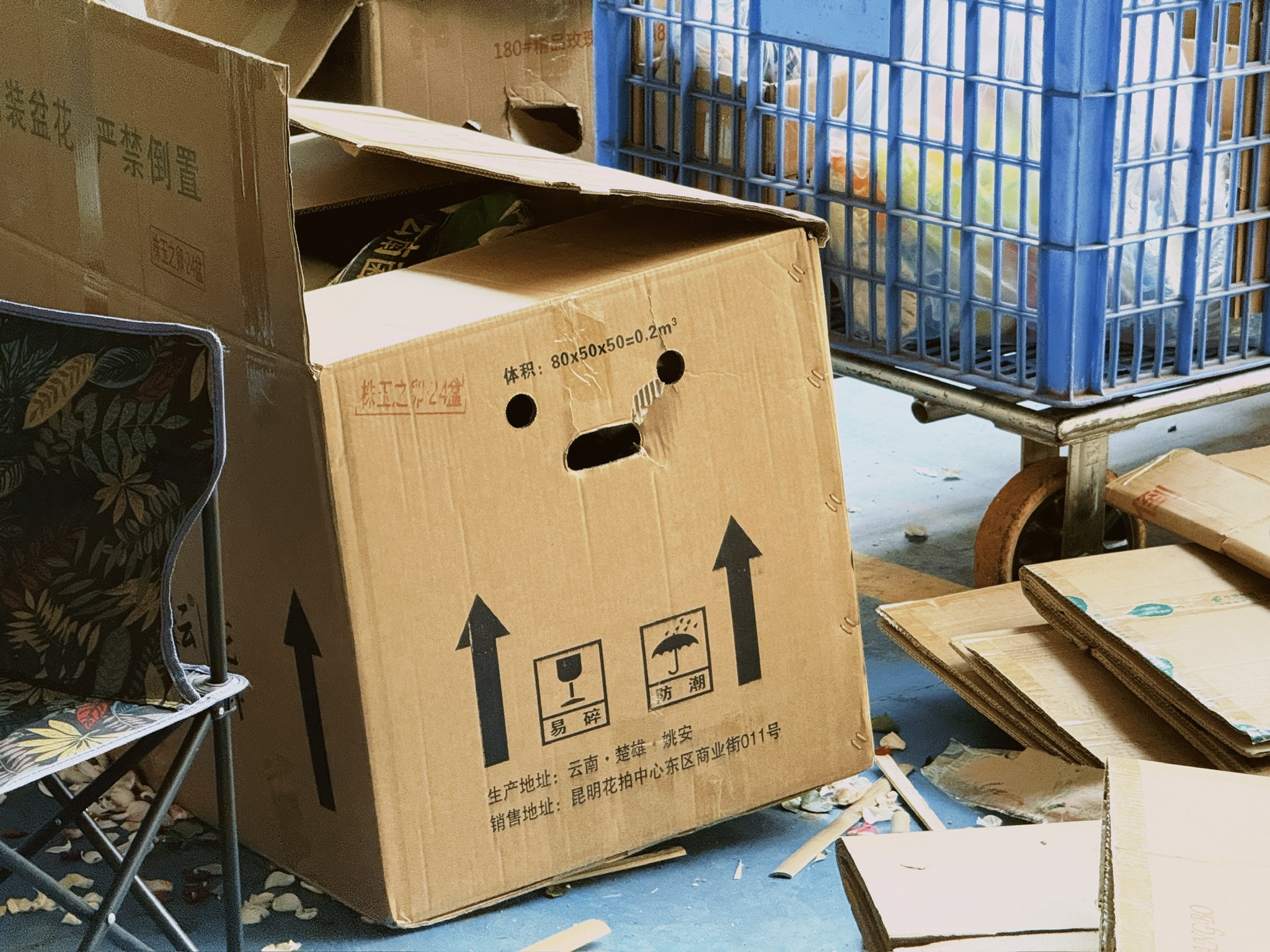 我逛整个斗南花市的表情就和这个纸箱子一样