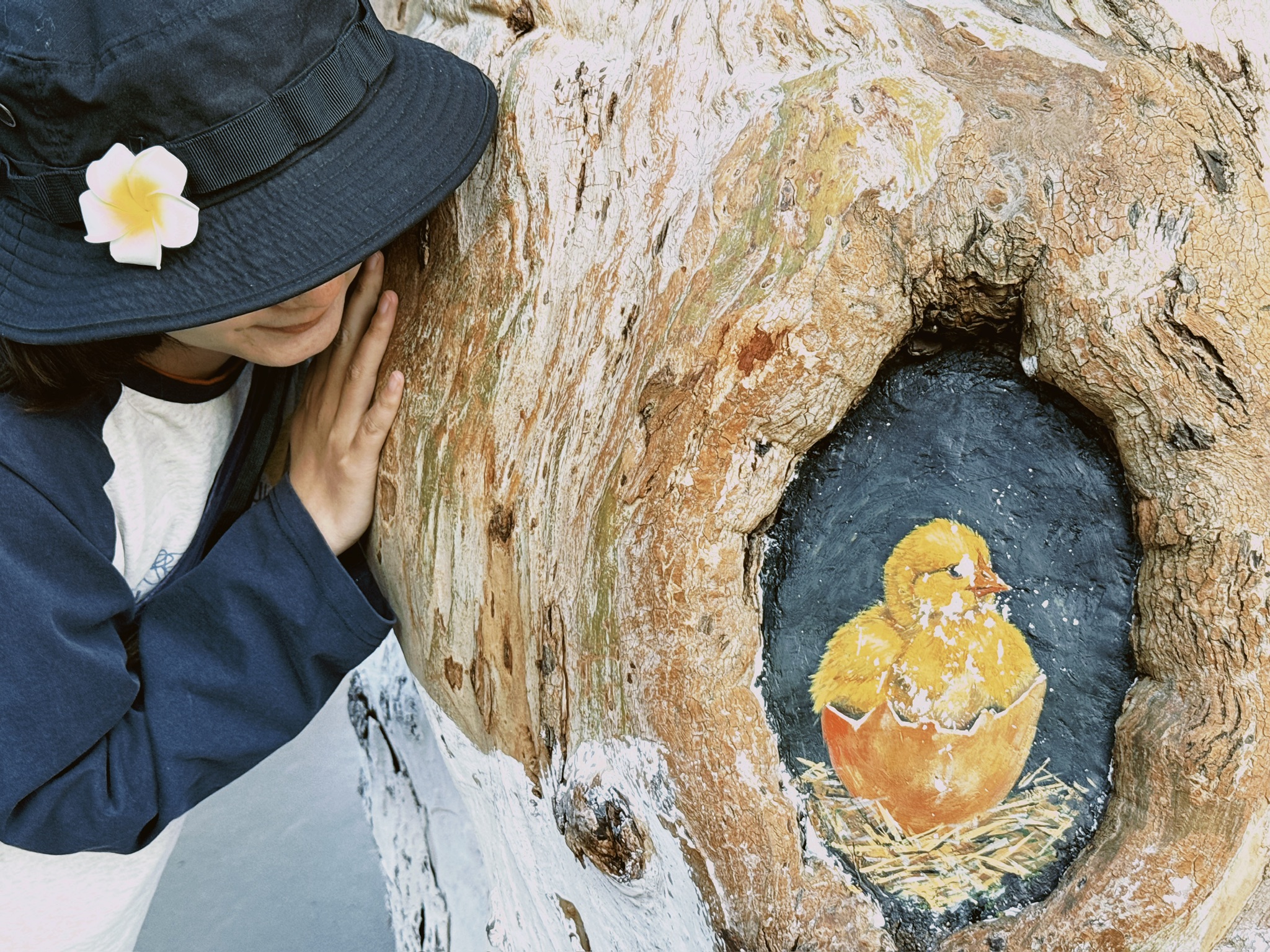 有人利用树洞画了壁画，但看起来似乎是被破坏了