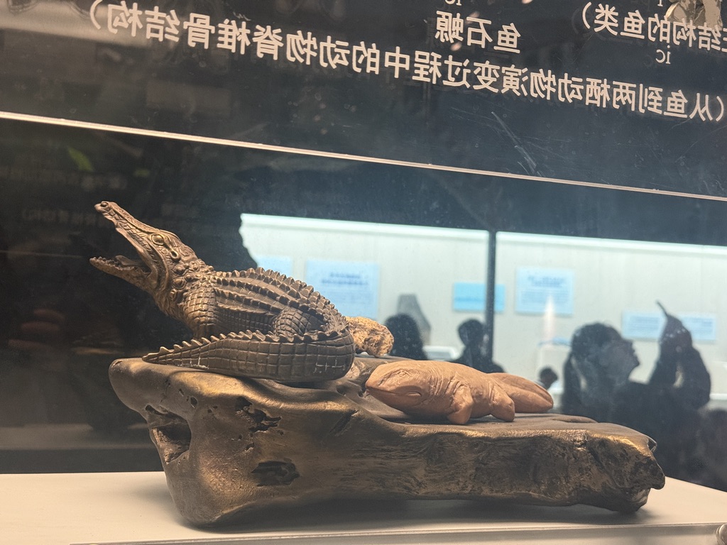 远古区的模型，看起来材质和造型都更像文玩而不是模型