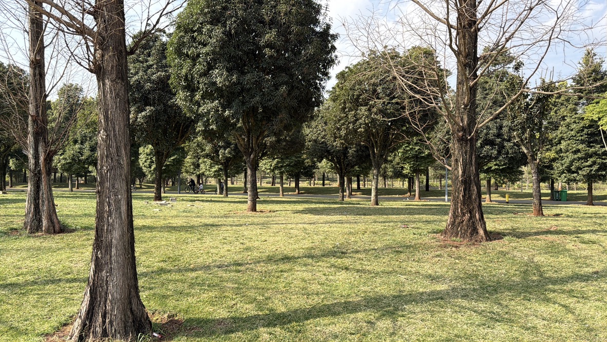 父子俩在湿地里面骑