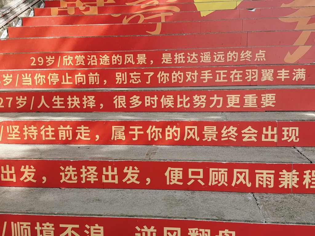 一步一岁一鸡汤