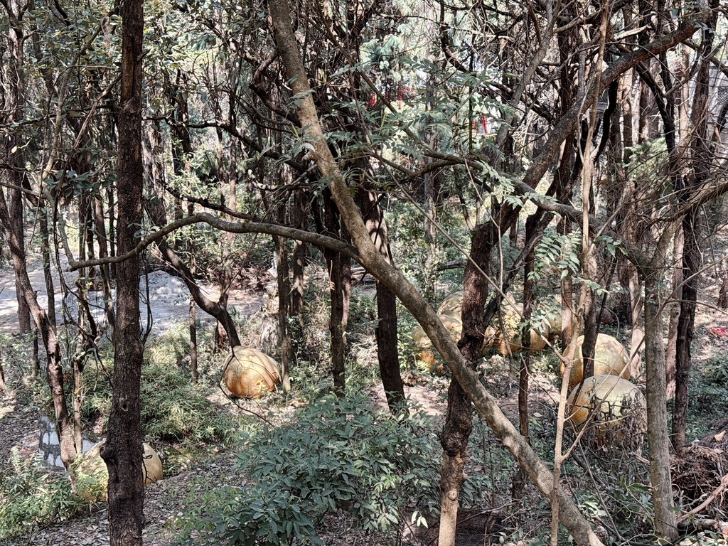 锦屏山的一个角落里,散落着弥勒佛的巨大念珠,这个场景看起来特别像黑神话悟空里的地图场景