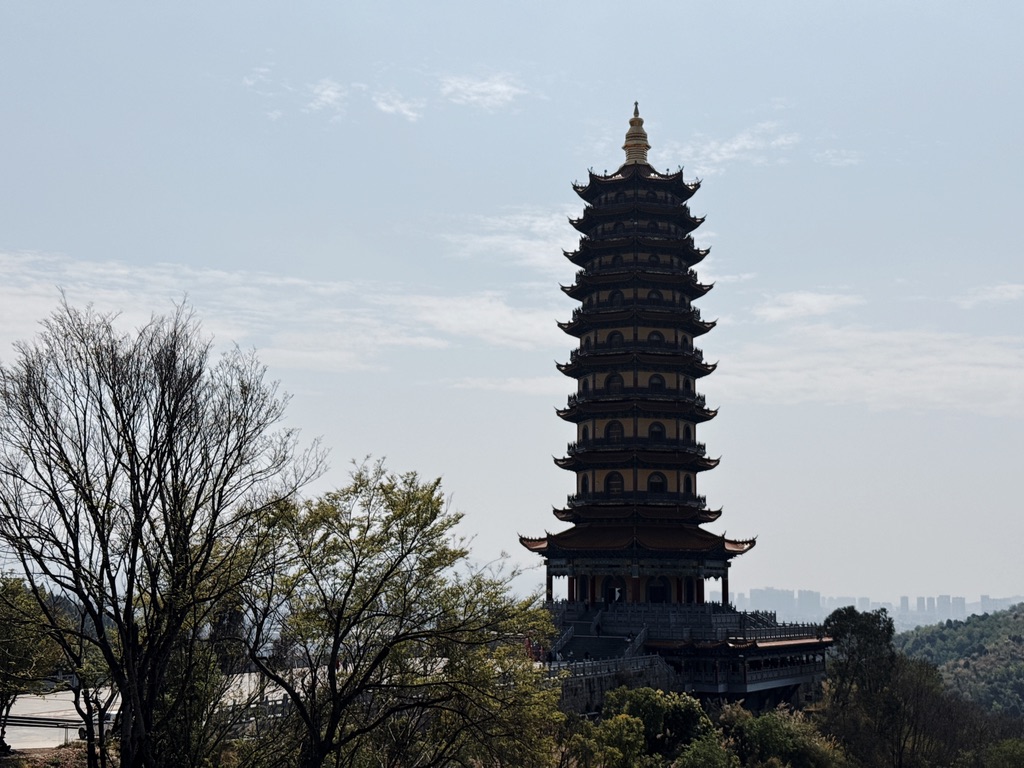 从半山腰看龙华宝塔