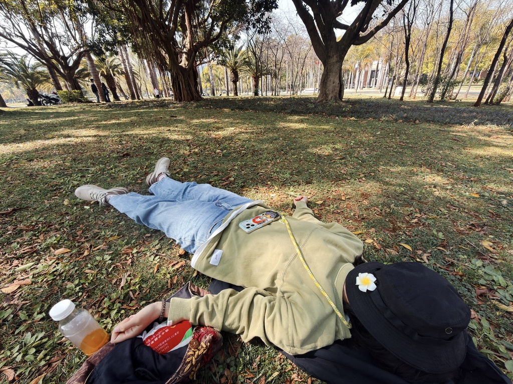 在阳光与树影下睡大觉