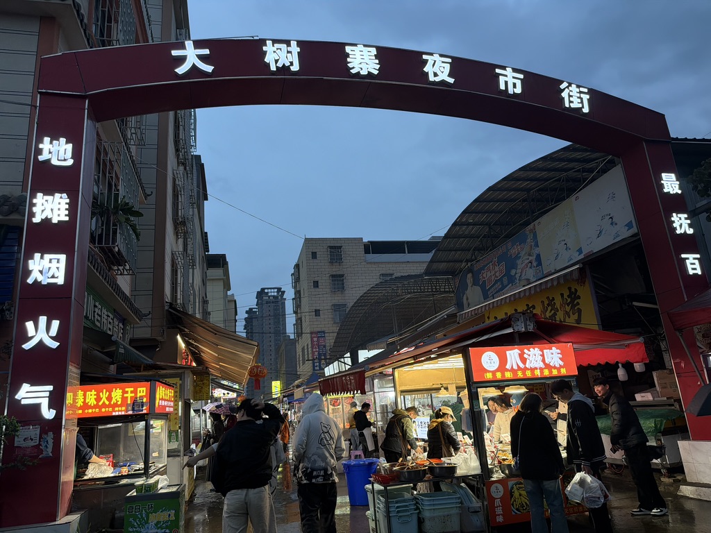 大树寨夜市街