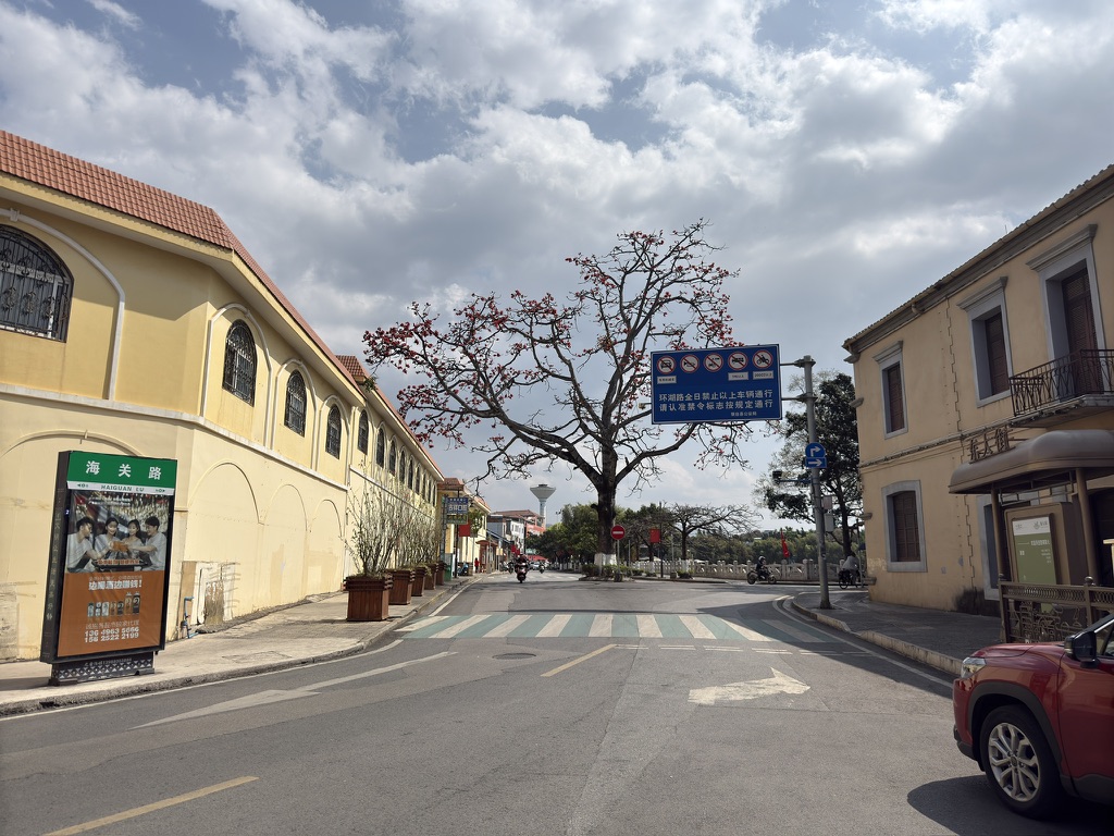 这一树木棉开得也很好，两侧黄墙均是西南联大蒙自校区的旧校舍