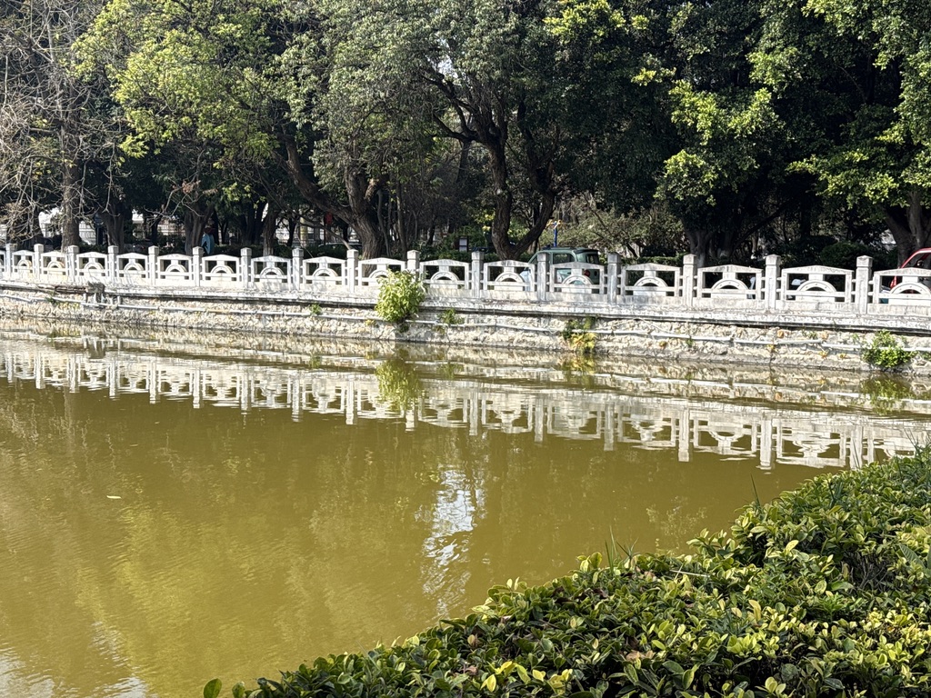 黄如粪汤的南湖