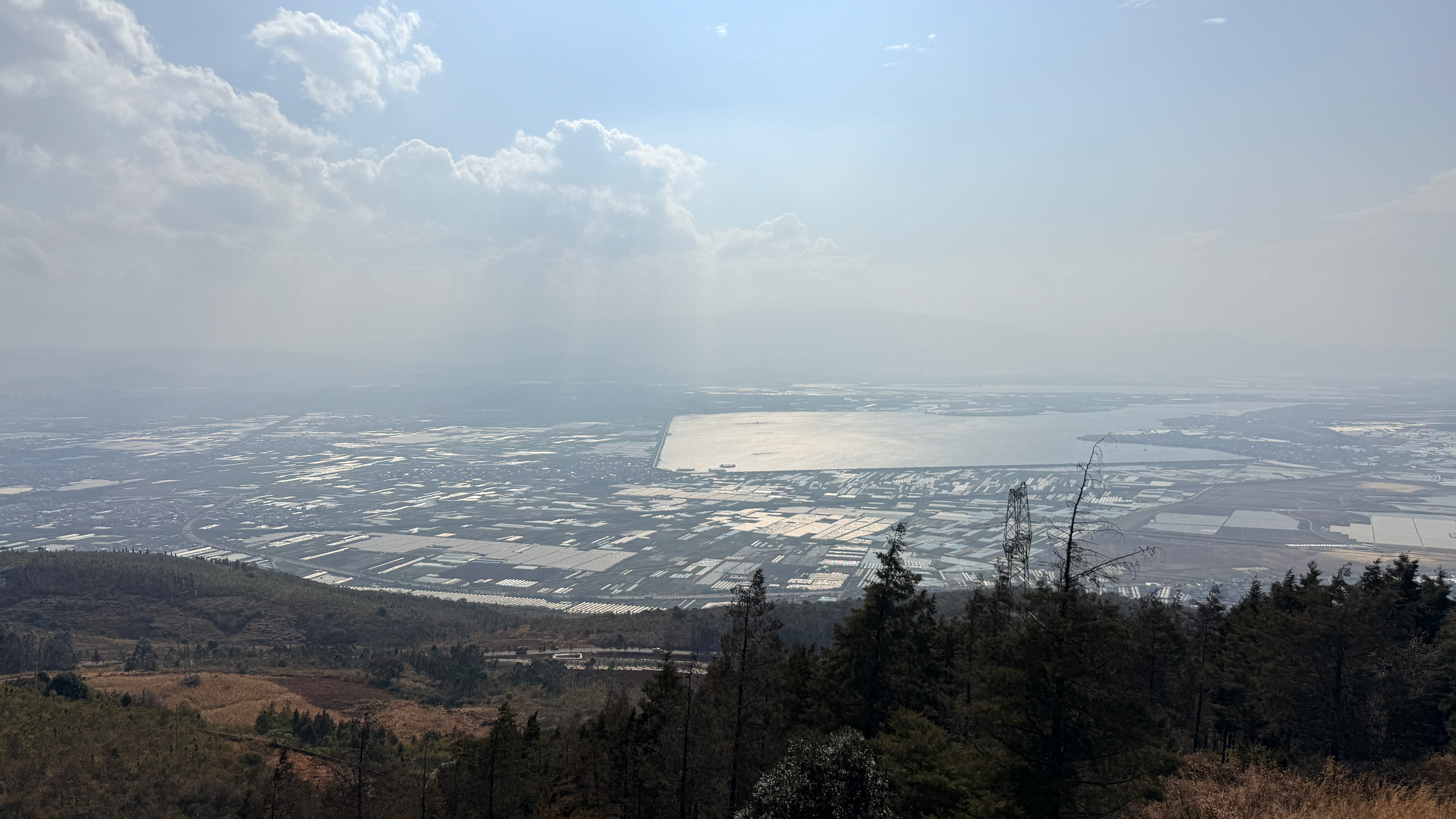 长桥海湿地公园