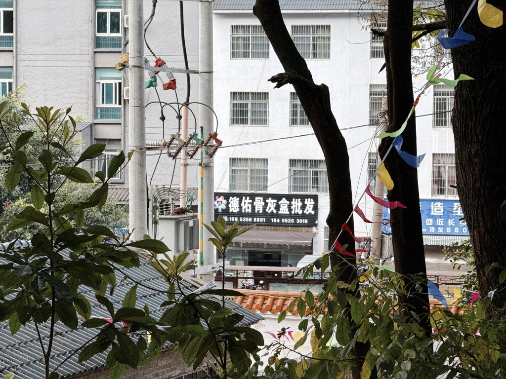 天天用德佑湿厕纸的我们看到了德佑的周边