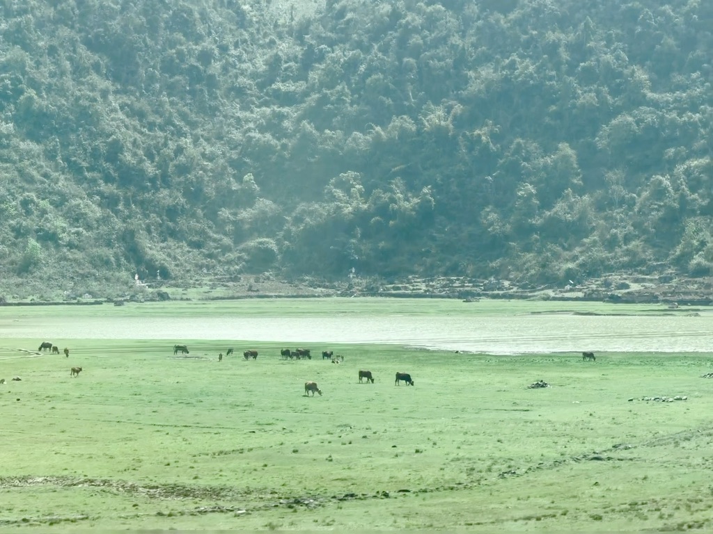 已经开始出现纯绿色的山清水秀了