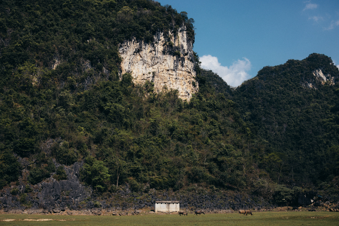 对面的石头小屋是不是卫生间，我终究没走过去探究