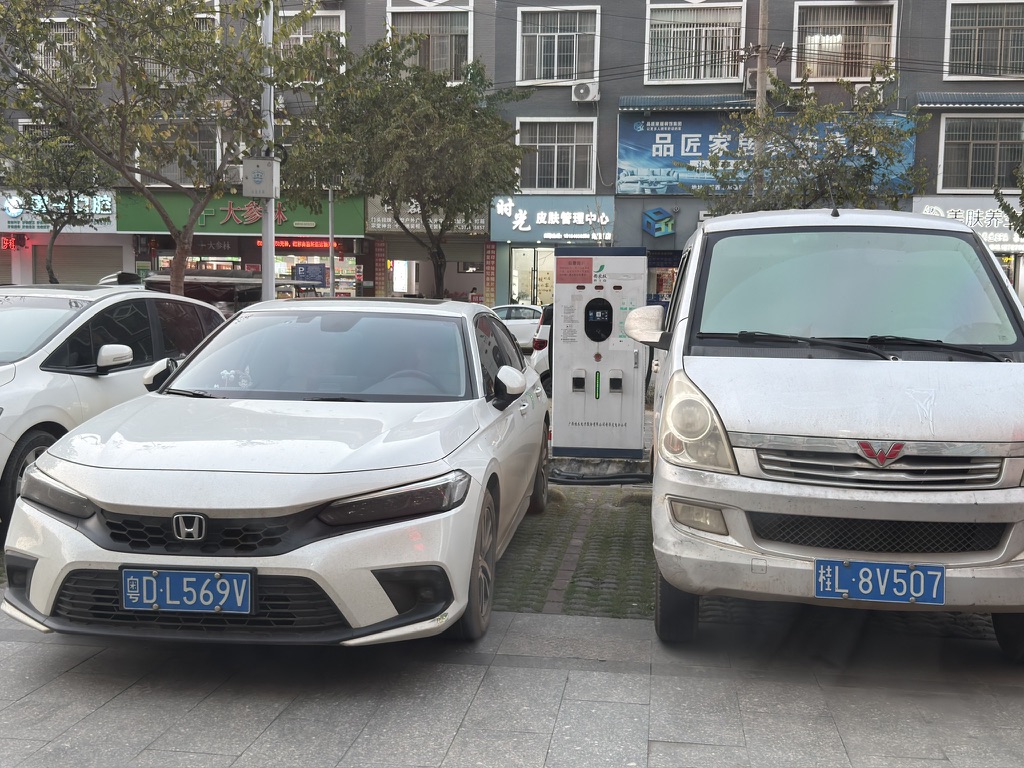 占充电车位的油车