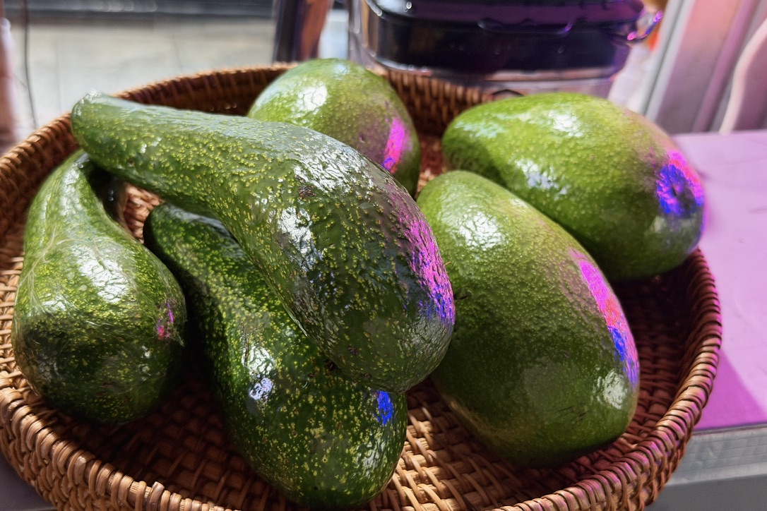 他们的牛油果长这样，又大又长