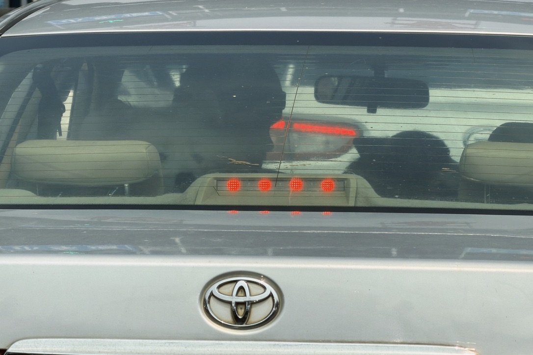 离开东兴边检时，前面的车上有两只狗子！