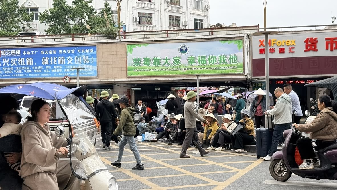 斗笠与越南军帽