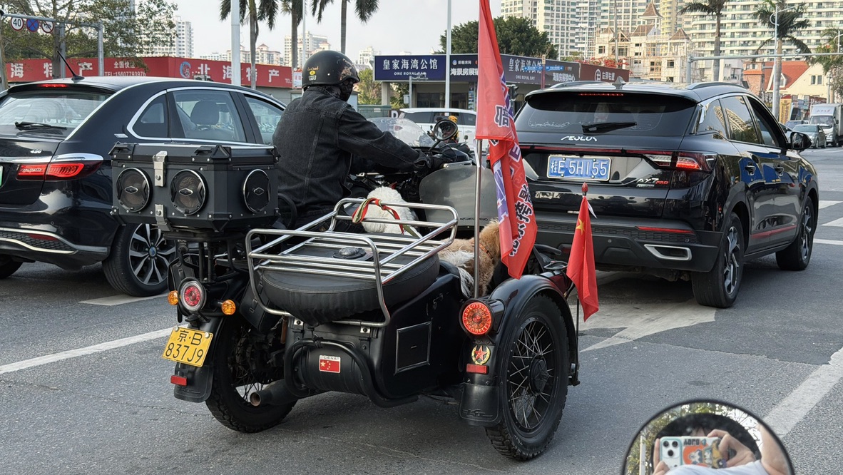 路上遇到的带狗边三轮北京大爷，帅爆了