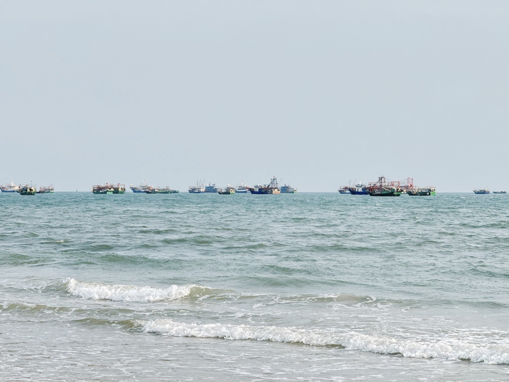 其实海水是翠绿的