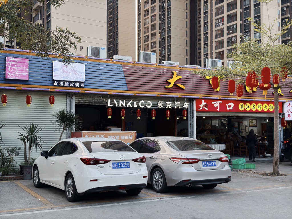 百姓村美食街里的领克专卖店，怎么开在大排档的