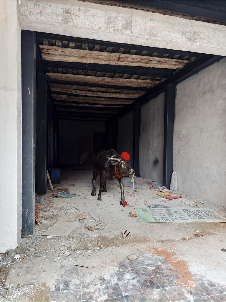 这家店有意思，还没开始装修，先把铜牛牵进来，可能是先冲散上一家倒闭的不良运气。再让自己牛气冲天