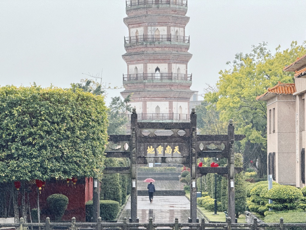 雨中漫步的游客