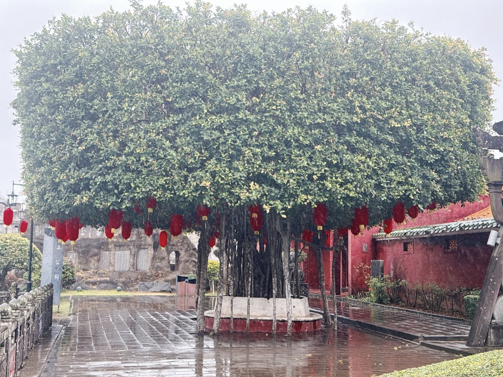 被修理成老毛子军帽的树