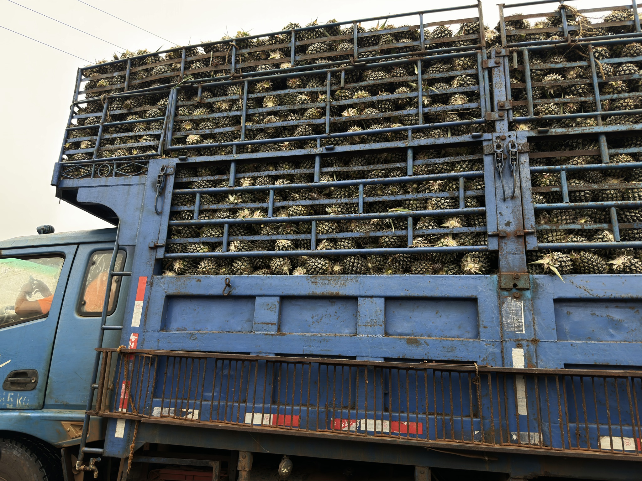 路上遇到拉菠萝的车