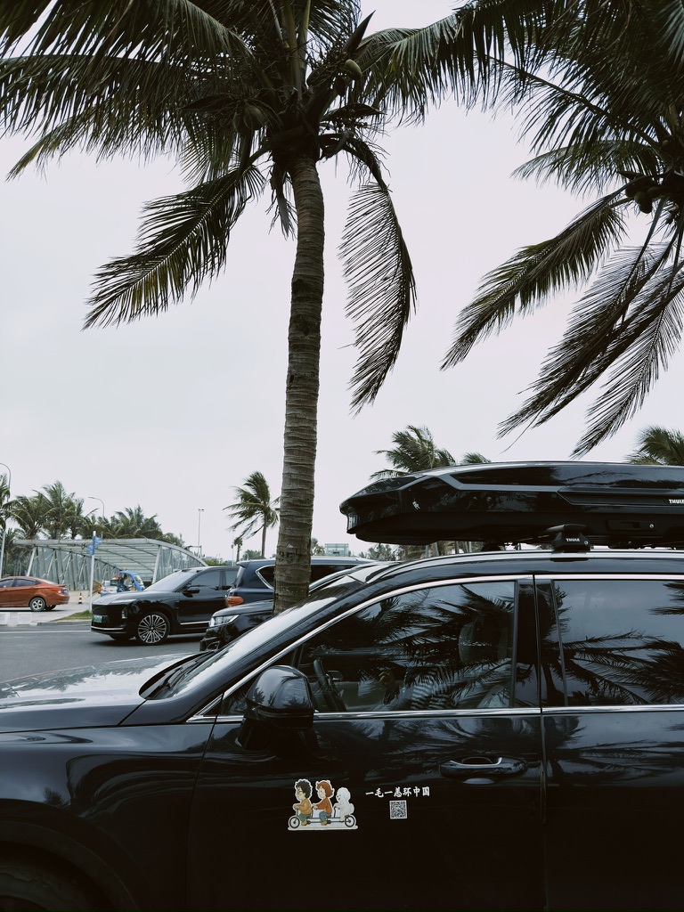也给理想 ONE 拍一张洒满椰影的照片吧,说起来直到现在都没再洗过车