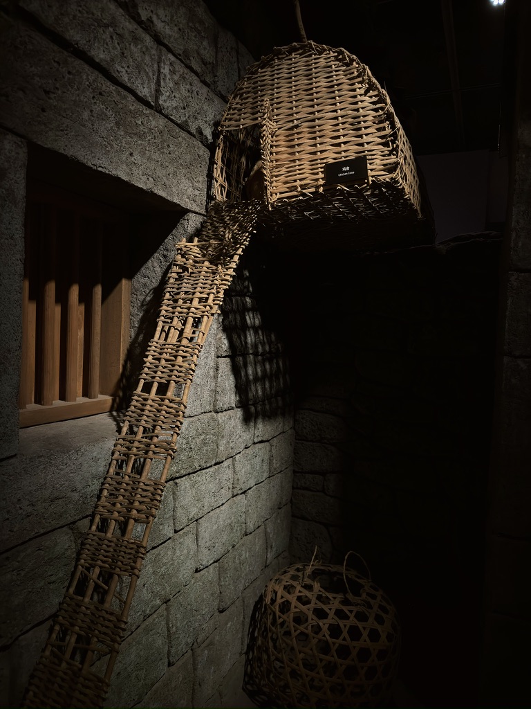 你说是鸡舍,我说是猫笼