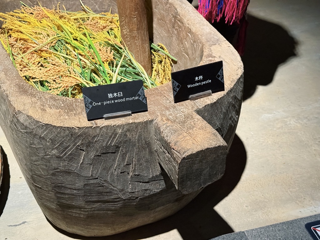 恙儿说她看到一头戴墨镜的猪猪