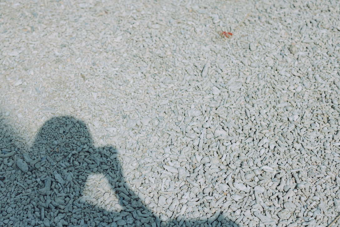 满地的珊瑚尸体