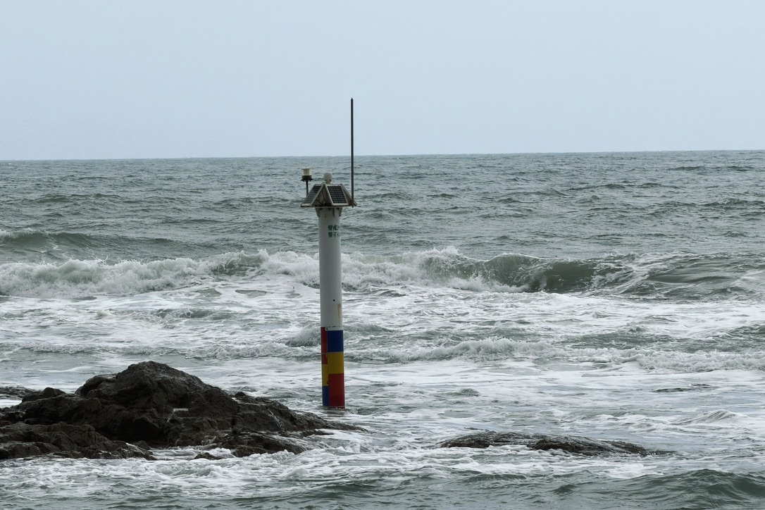 在海口见过的老朋友