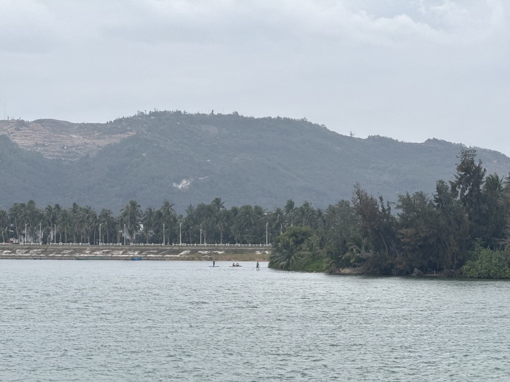 椰子岛边的桨板人