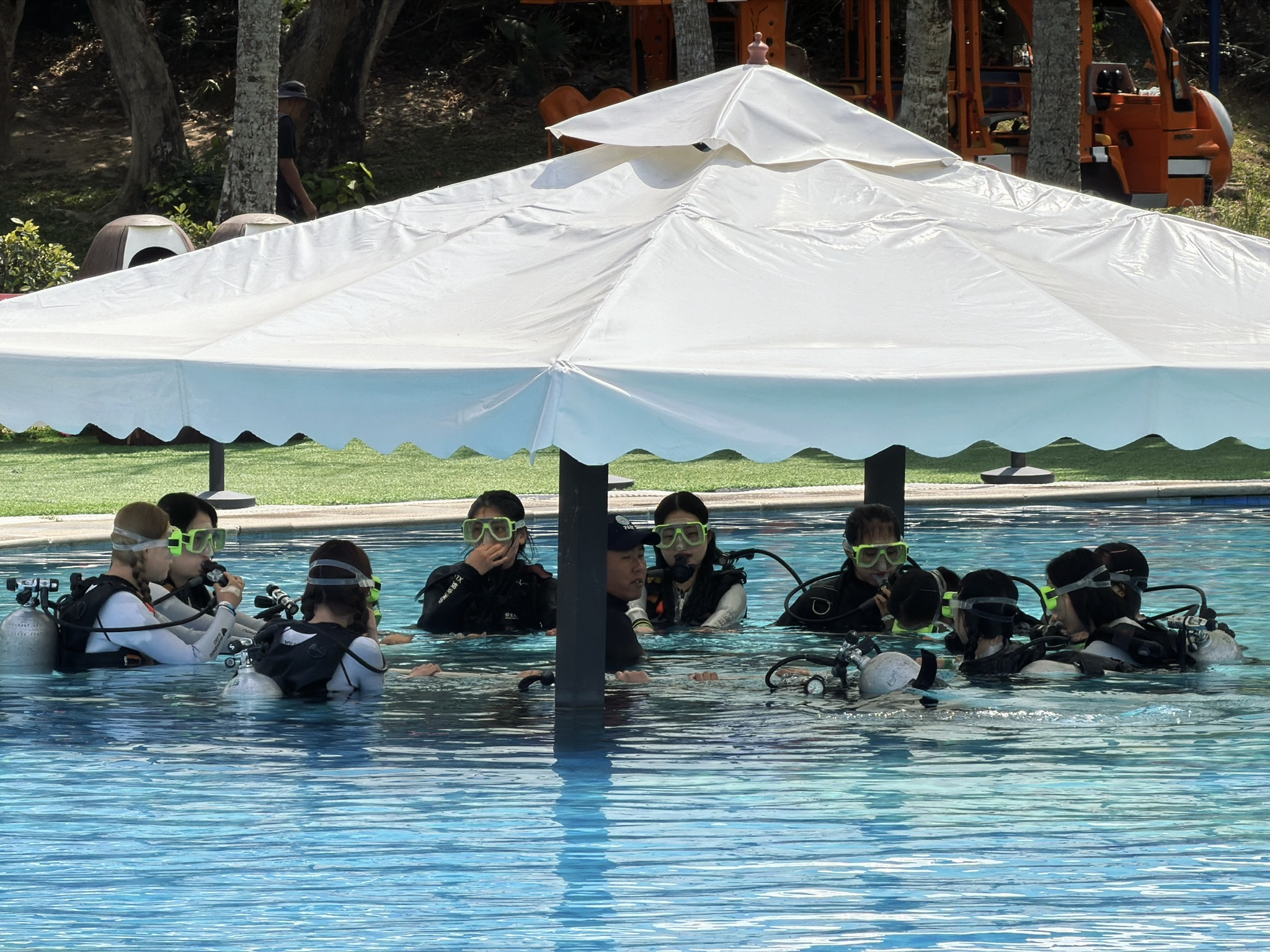 虽然但是为什么全都是女生