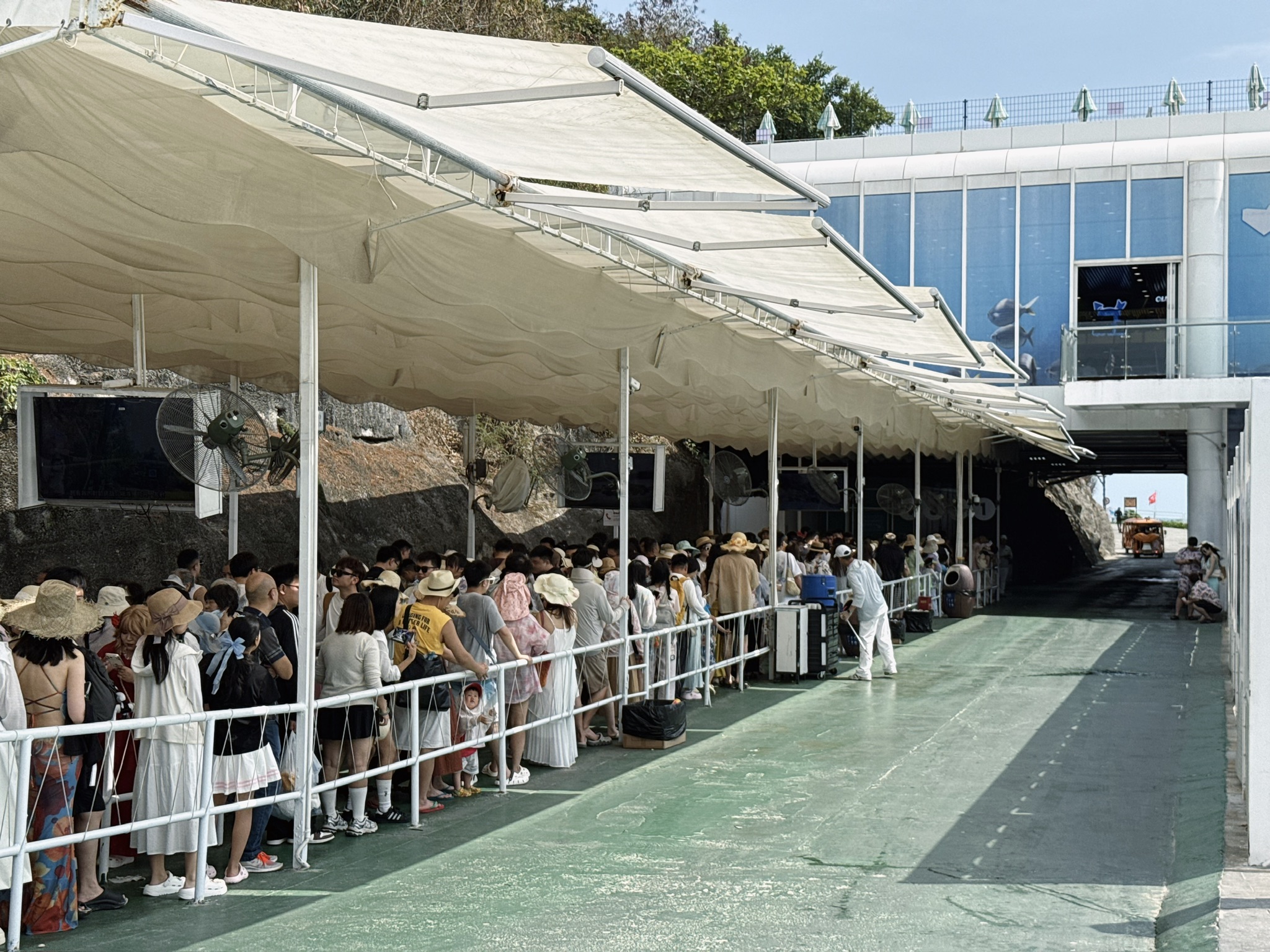 岛上等待旅游观光车的人流