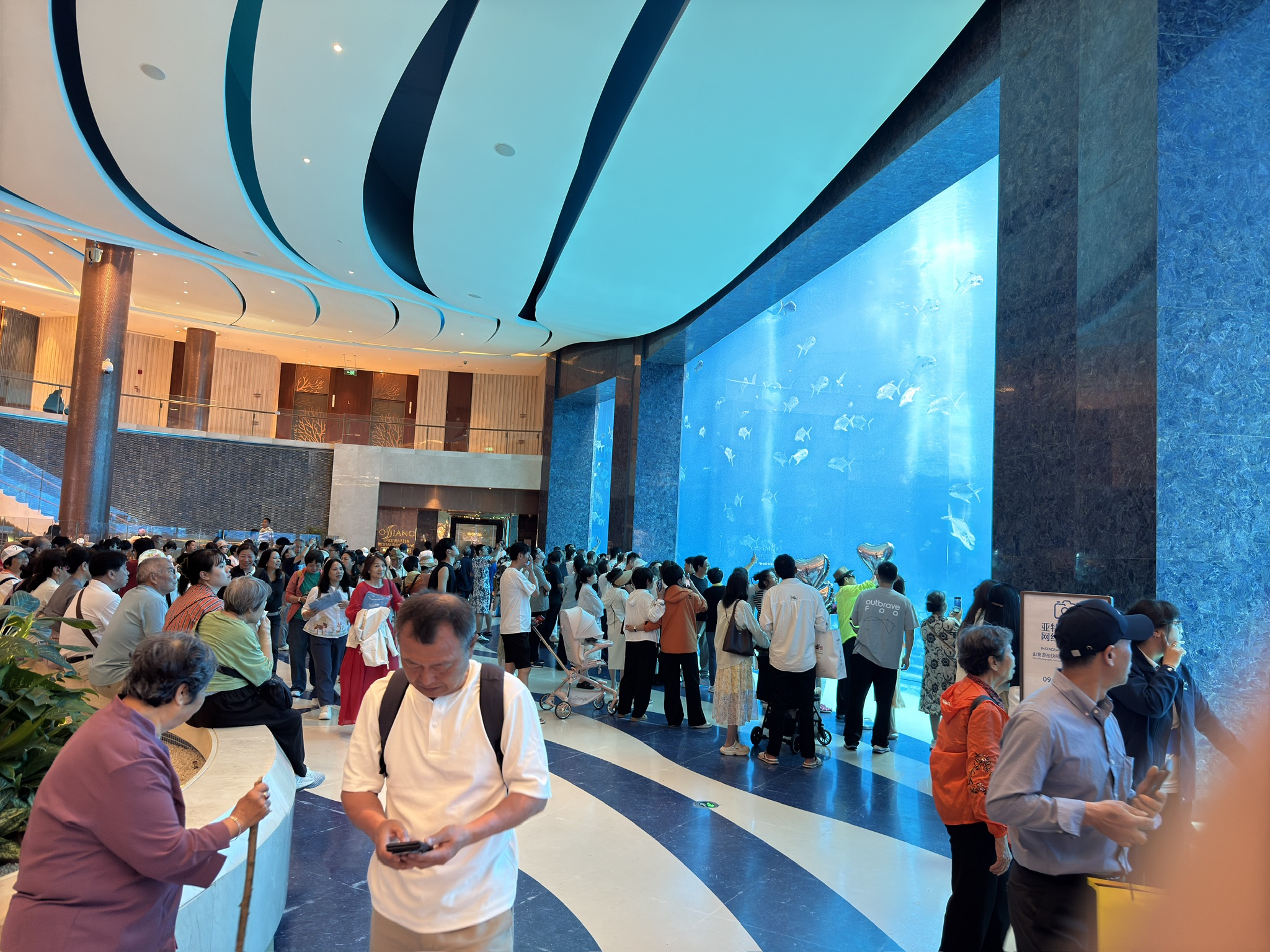 我能在这看一天