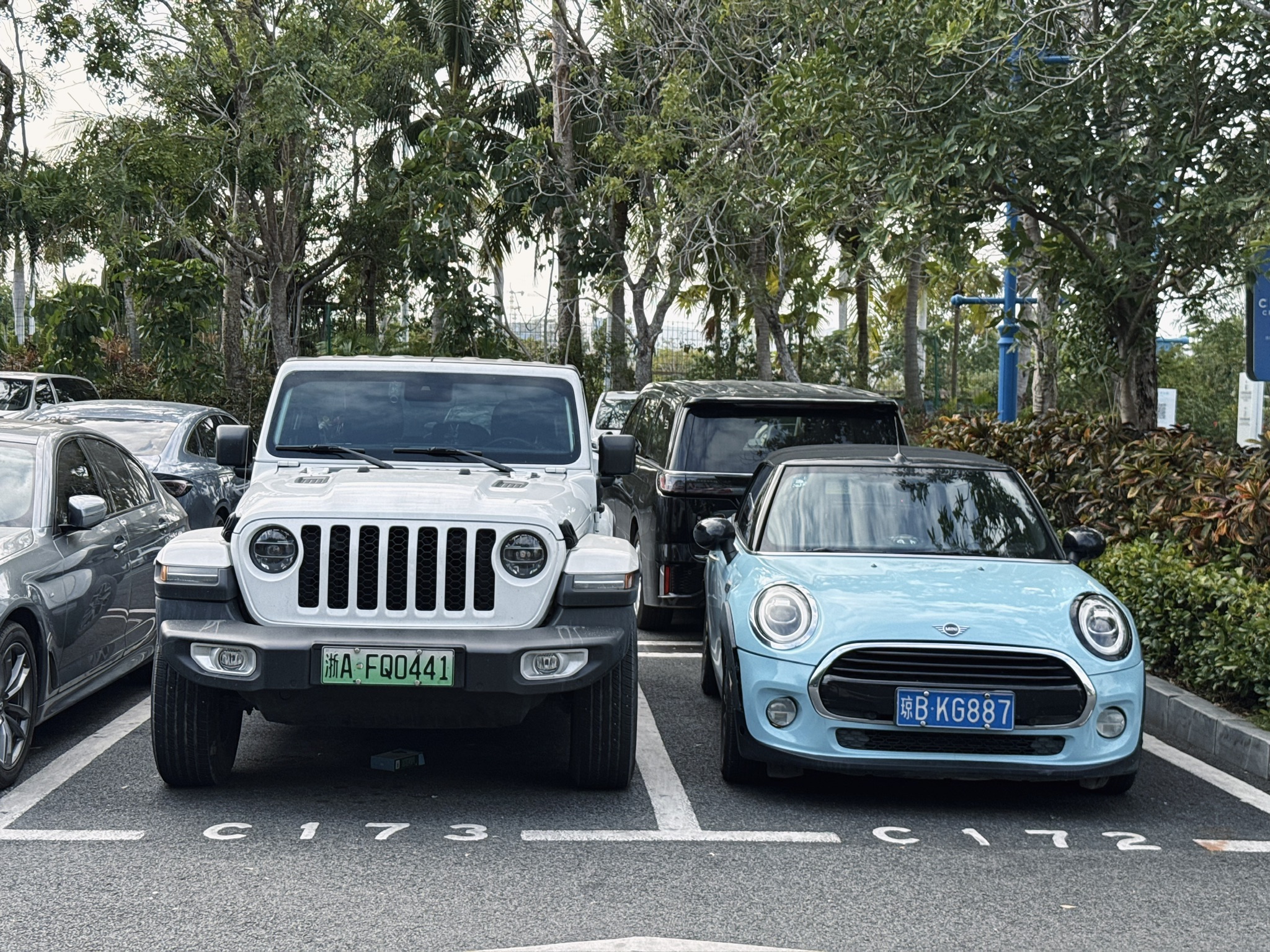 停车场里好看家族的车