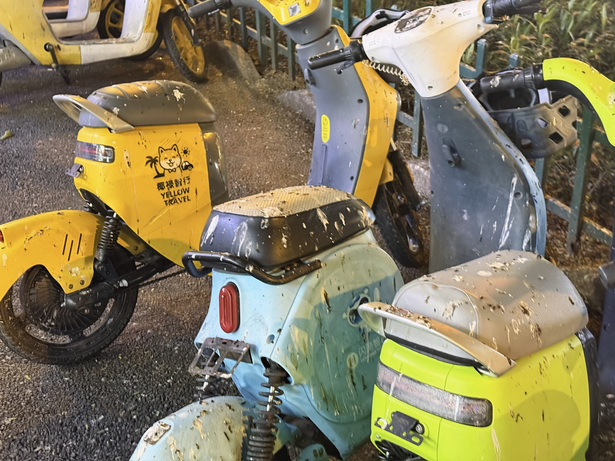 被鸟粪洒满的虾兵蟹将