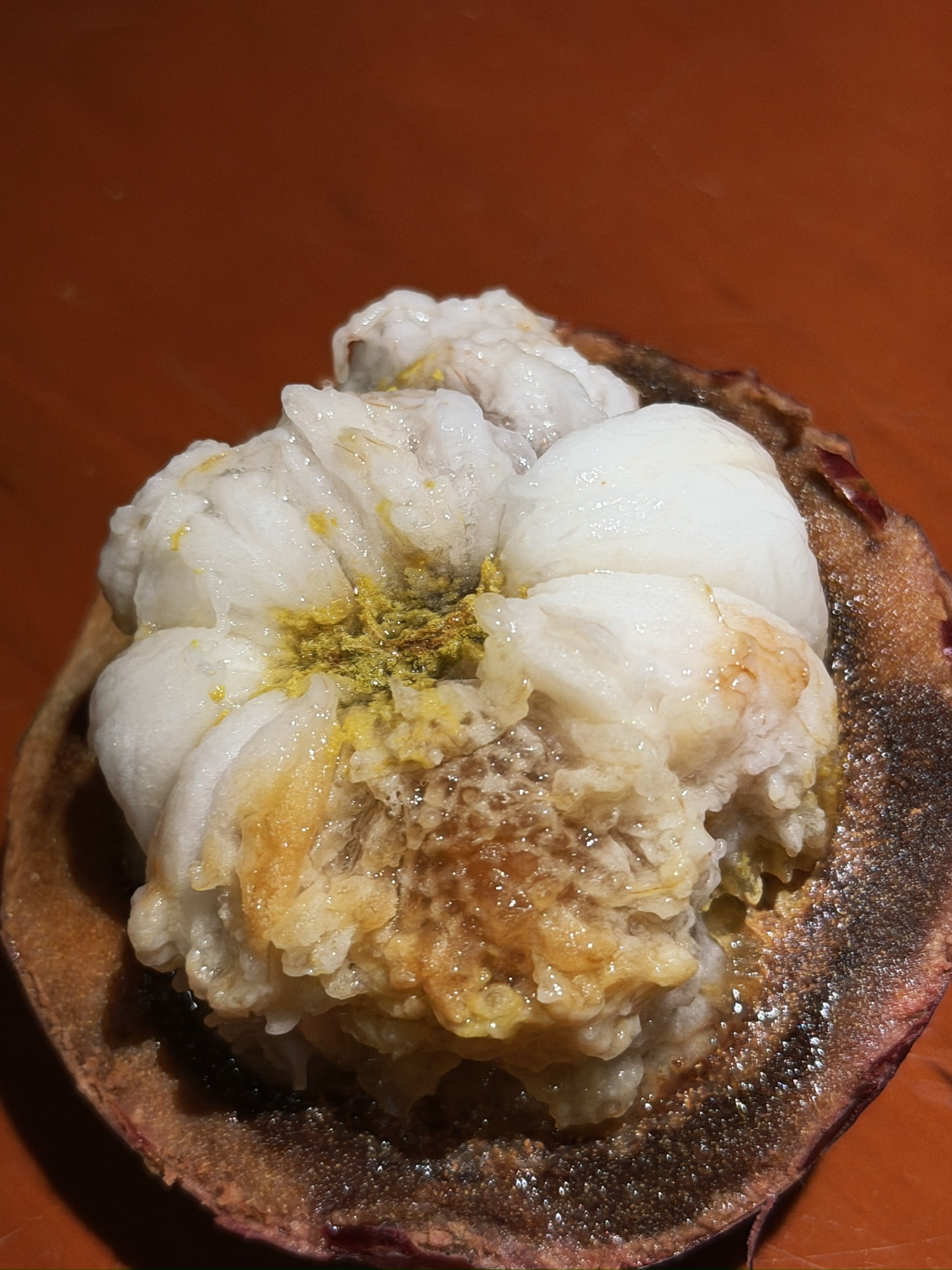 这透露着死亡风险的黄色，当然，我们全丢了，命要紧