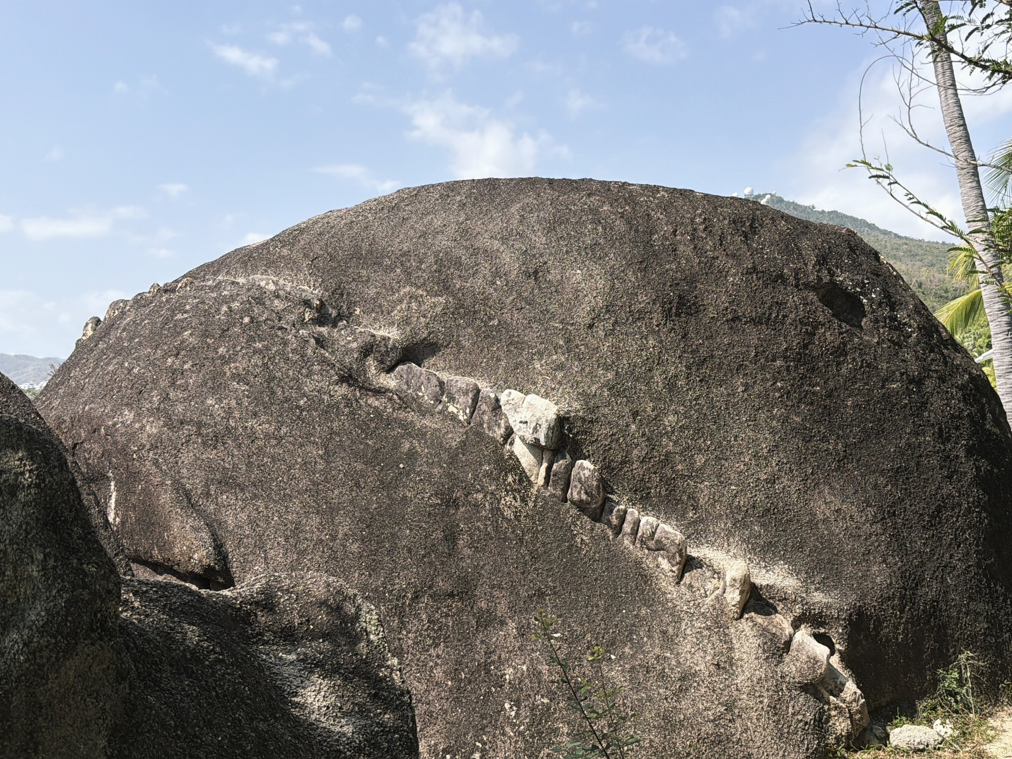 相比天涯石和海角石，明明是这个长着乱七八糟牙齿的鲸鱼石头更有趣嘛
